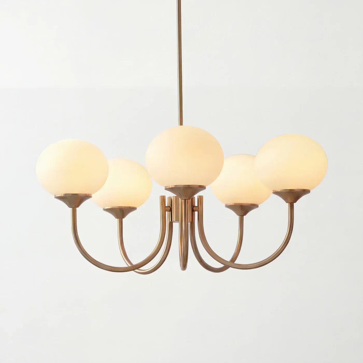 Lustre Suspension Design Globes en Verre et Laiton | Blossom - Lampes Design