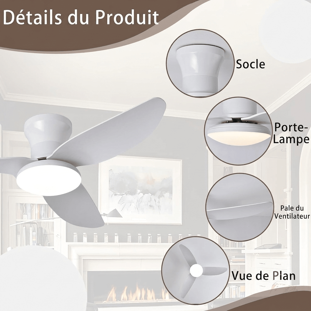 Ventilateur de Plafond Silencieux Moteur DC avec Éclairage LED pour Chambre et Salon | BRISE™ - Lampes Design