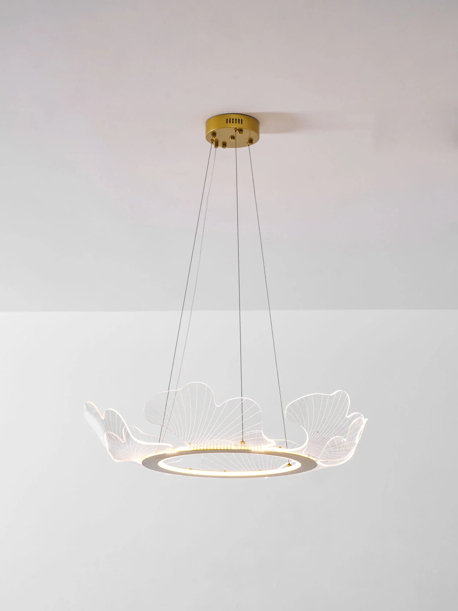 Suspension Anneau en Acrylique Façon Pétales — Lustre Style Art Déco | AURÉOLE™